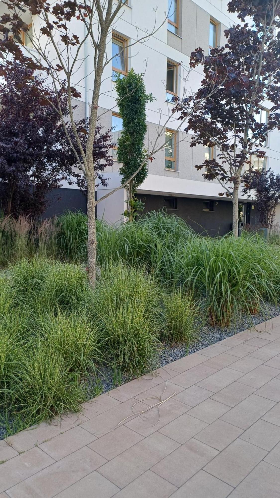 Apartament Davima Aquapark Rumia - Novum Exterior foto